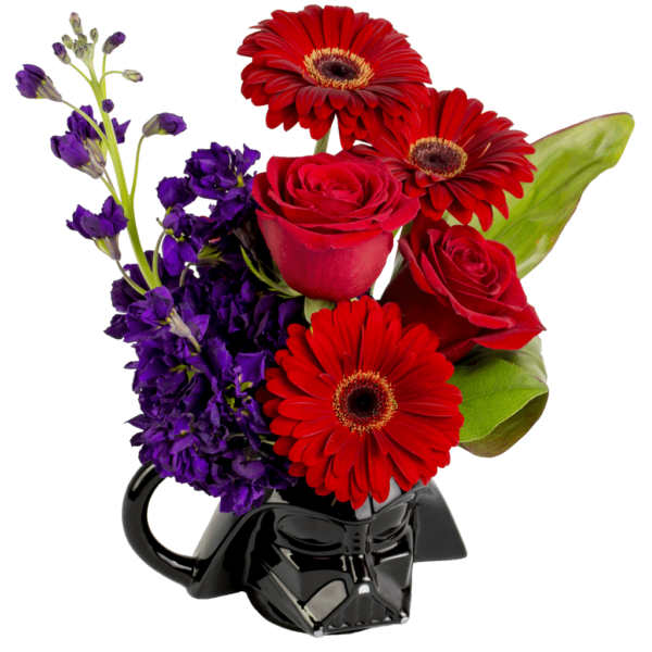 Darth Vader Flower Mug