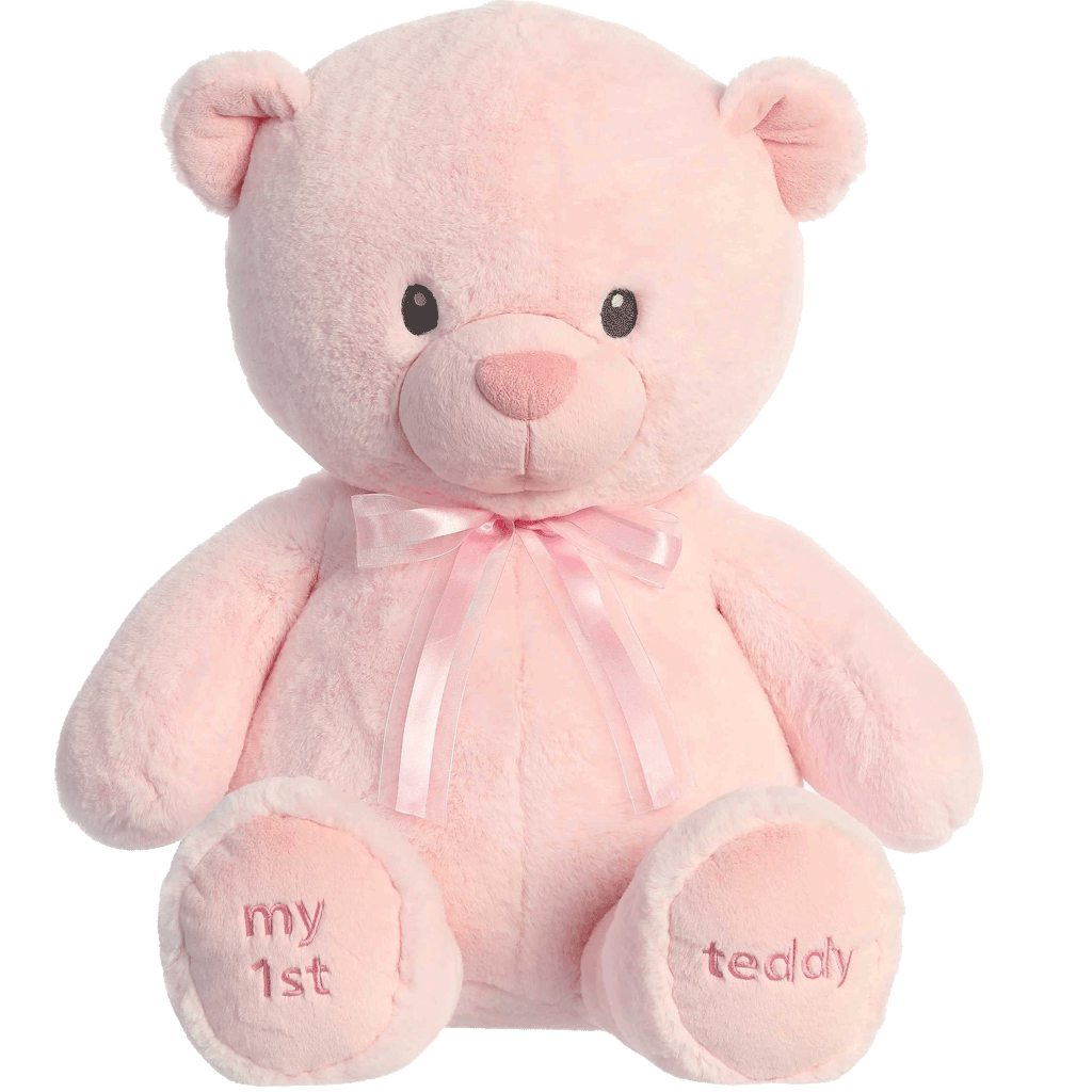 My-First-Teddy-Pink-2025 My First Teddy - Pink