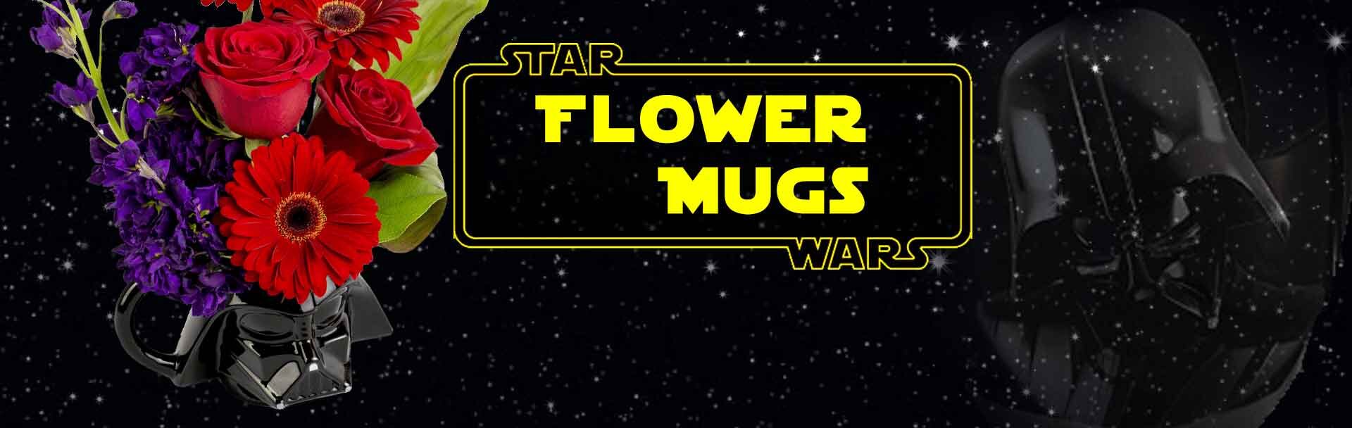 Star Wars Flowers in themed mugs available at Karin's Florist.