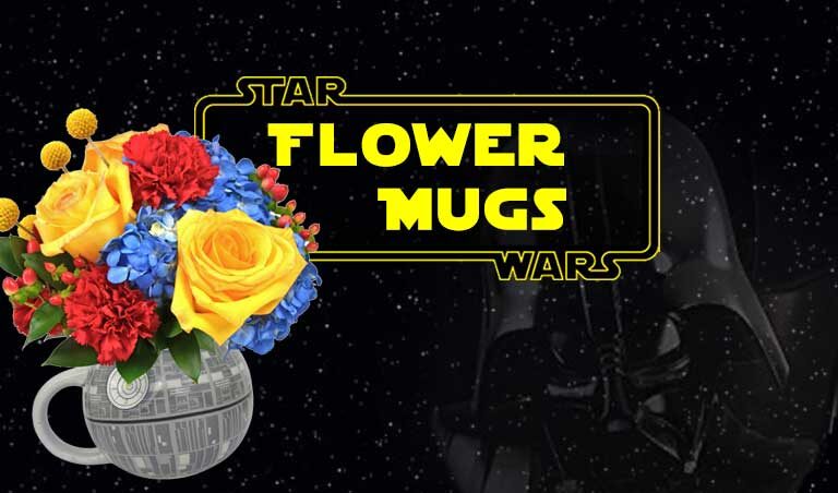 Star Wars Flowers in themed mugs available at Karin's Florist.