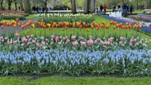 Keukenhof