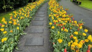 Keukenhof