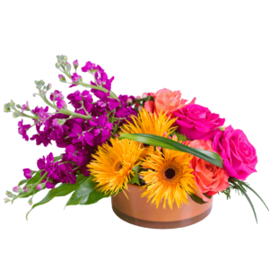 Spider Gerberas
