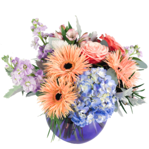 Spider Gerberas