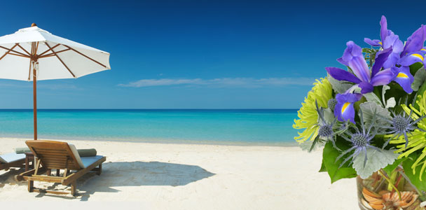 Beach Escape Banner