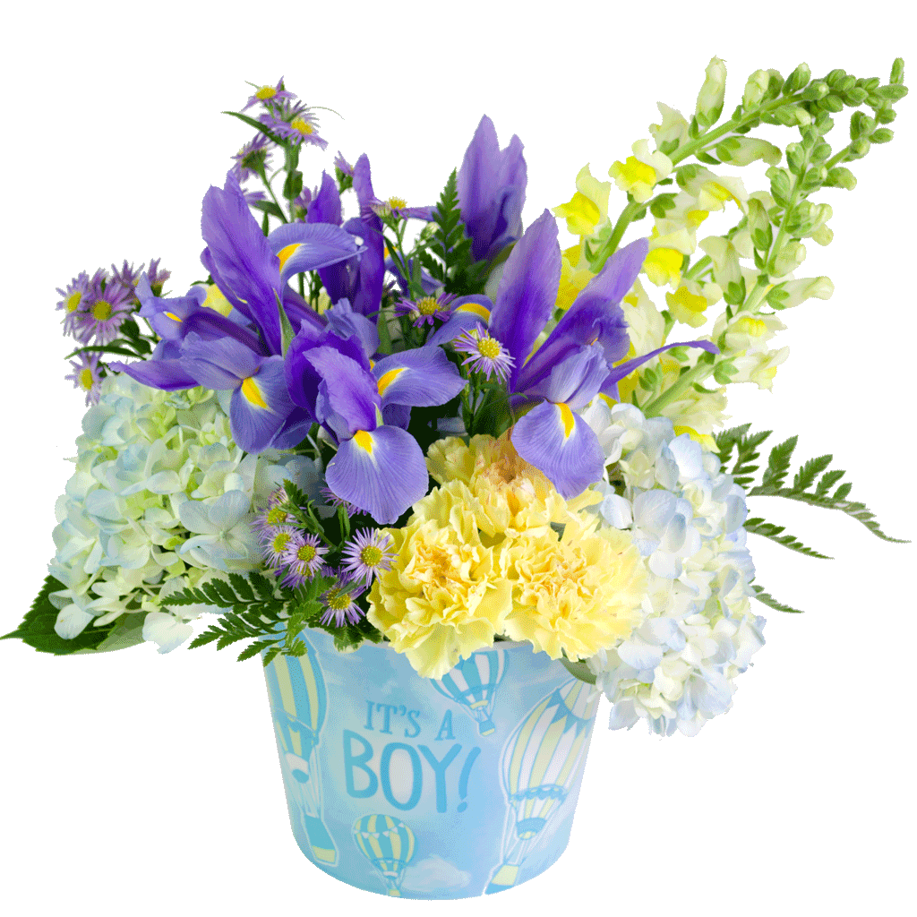 Little-Prince-Bouquet Little Prince Bouquet