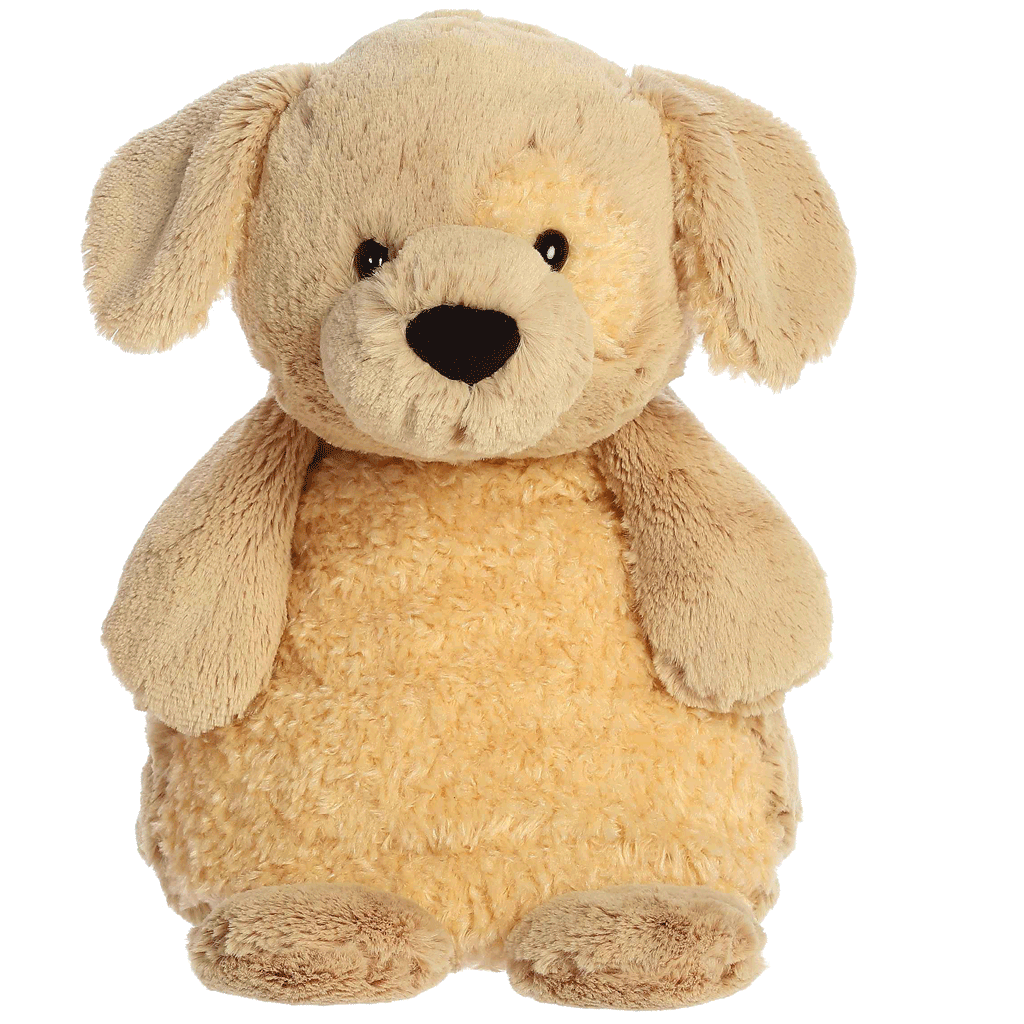 Patient-Pupster Patient Pupster