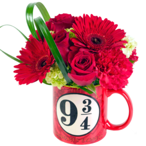 Hogwarts Express Flower Mug