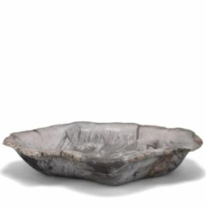 Large Petrified Wood Bowl