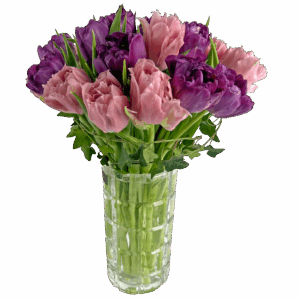 Tulips in Motion Arrangement in Crystal Vase